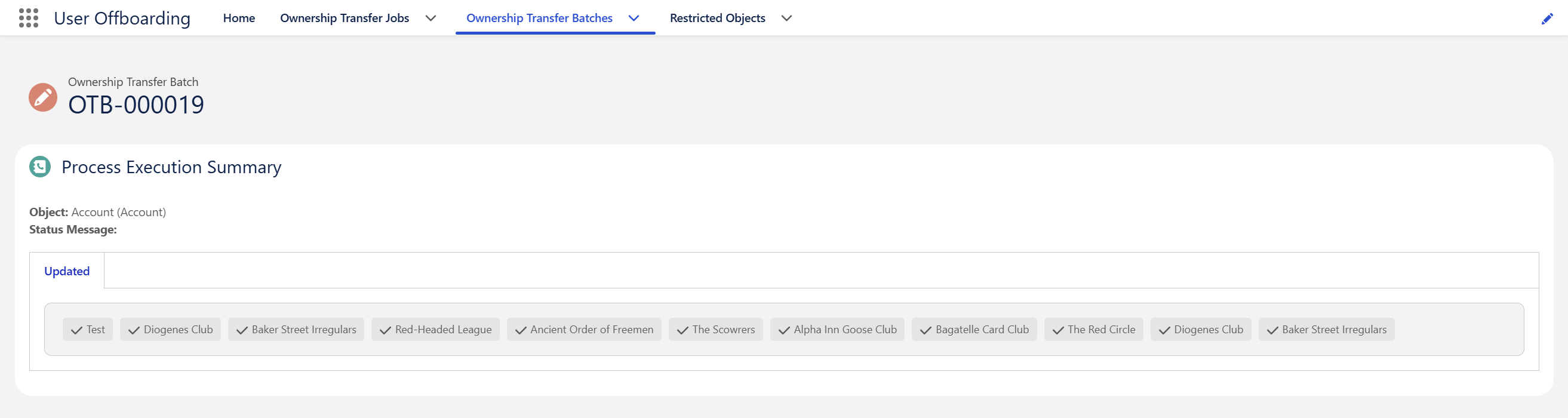A batch detail page showing the Process Execution Summary for the Account object with an Updated tab listing each reassigned record as a badge.